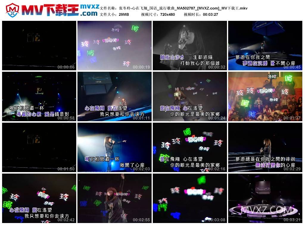 张冬玲-心在飞翔_国语_流行歌曲_MA502787